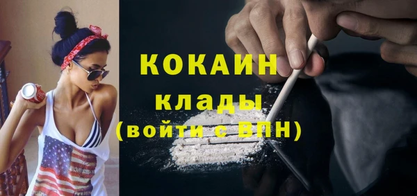 стаф Кинешма