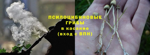 молекула духа Козельск
