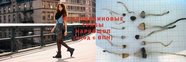 мяу мяу мука Корсаков